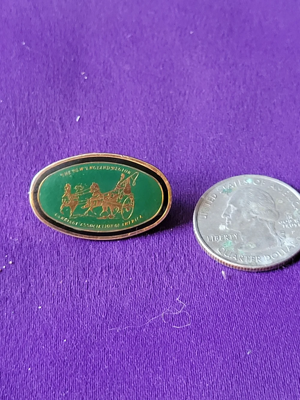 Carriage Association Enamel Lapel Pin - Green and Gold
